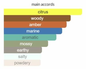 Ejaazi Silver Lattafa