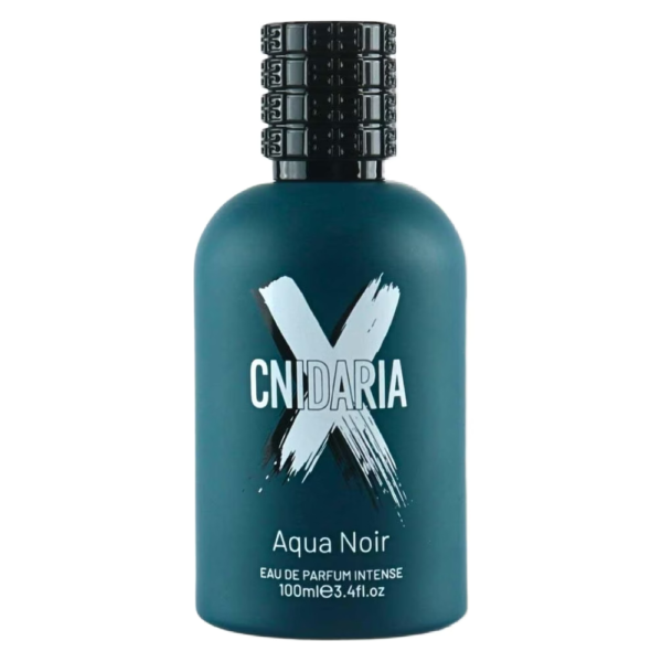 Cnidaria X Aqua Noir Samam EDP 100ML